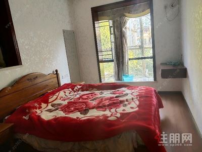 青秀区-青秀区东盟商务和美春天5房244.76平米450万