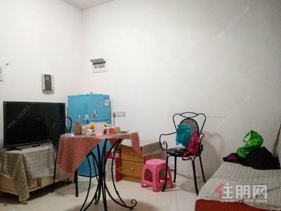 青秀区，青秀区东葛路上海滩公馆2房58平米2400元/月