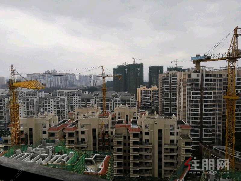 青秀区凤岭南莱茵湖畔3房90平米2900元/月