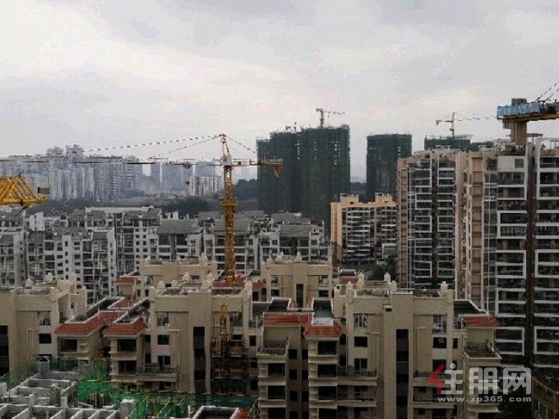 青秀区凤岭南莱茵湖畔3房90平米2900元/月