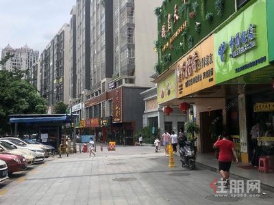  东盟商务区-青秀区东盟商务凤岭新村0房41平米9250元/月