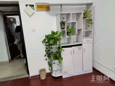 长湖，青秀区东葛路浩天广场1房40平米1500元/月