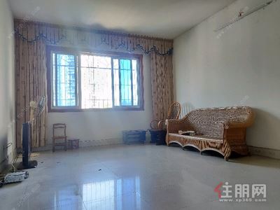 东葛路，青秀区东葛路德利公寓3房115平米2500元/月