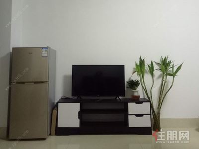 凤岭北，青秀区凤岭北凤岭名园1房44平米2200元/月