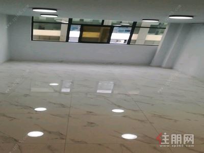 白沙大道-江南区白沙大道天元国际0房80平米3200元/月
