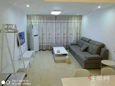 长湖-青秀区凤岭北龙光·君御华府2房48.36平米3200元/月