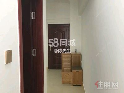 鲁班路-西乡塘区大学路片区鲁班商贸城1房48平米1800元/月