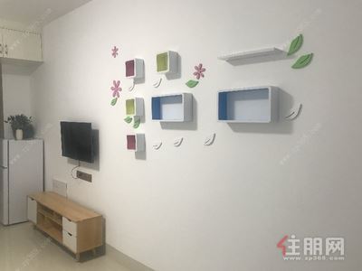 青秀区，青秀区凤岭北弥珍道1房40平米2300元/月