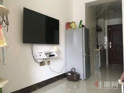青秀区-青秀区凤岭北弥珍道1房41平米2300元/月