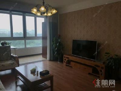 青秀区，青秀区东盟商务龙滩苑3房125平米6000元/月