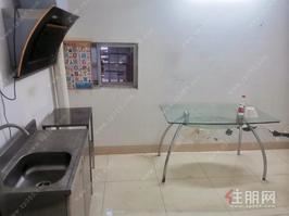 出租 银海大道 半山雅居 房屋