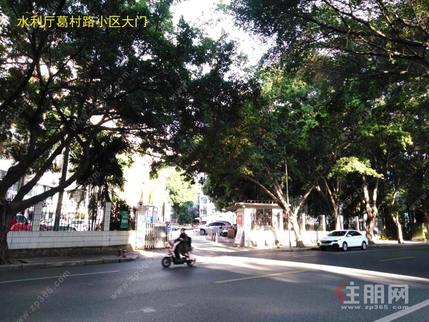 青秀区葛村路广西水利厅单位宿舍招租