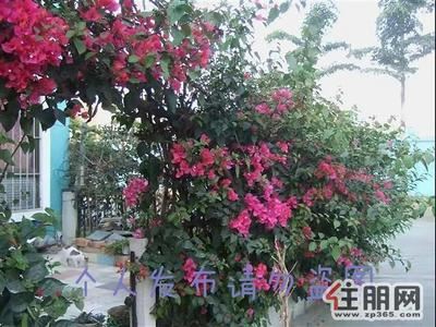 民主路-望州南路沃尔玛商圈