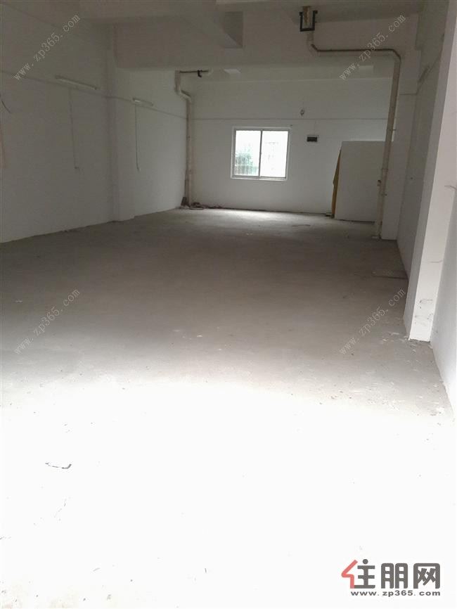 西环天鹅湖大量商铺出租