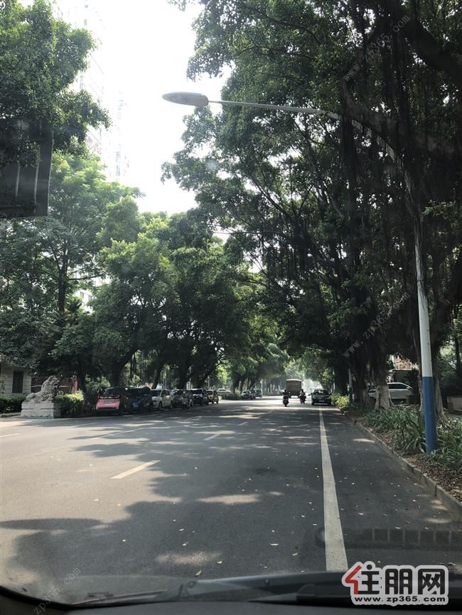 高新区嘉鹏学府3房***