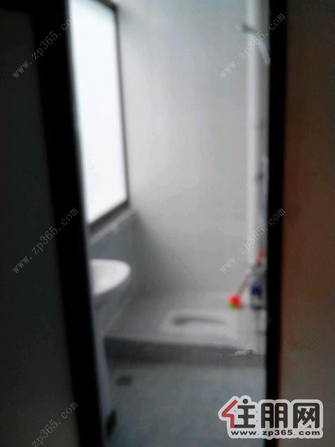 市中心北部湾800元新装修大单间(押一付一)免费上网(个人)