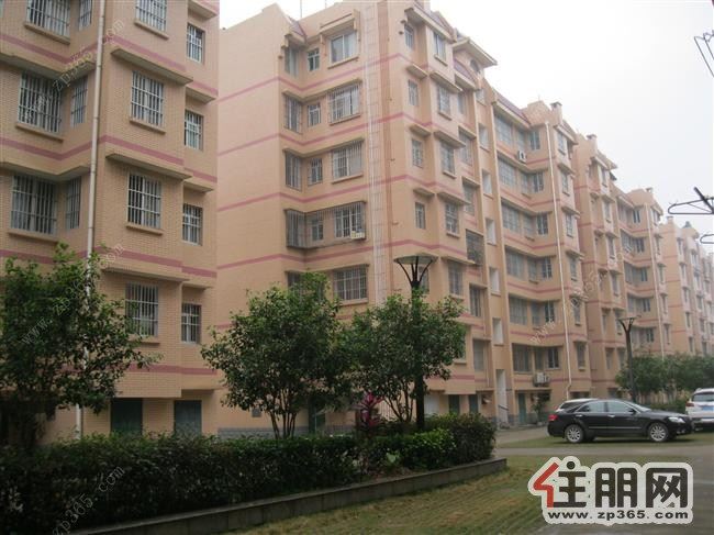 广西大学东校园中区150平米四房两厅出租