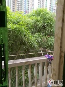 青秀区，星湖路单位三房一厅出租
