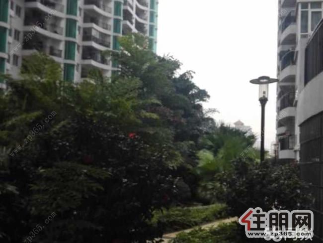 世纪经典4房2厅2卫185平米带配套出租