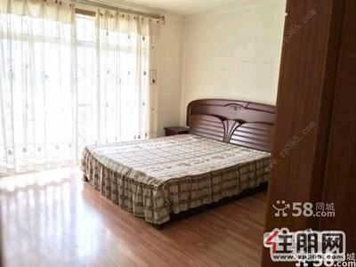 柳北区-金水岸精装五房配齐家电便宜出租