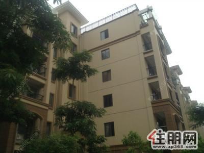 海城区-整套房屋低价出租同和泊湾三室一厅两卫1000/月!!!