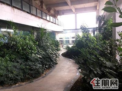 东盟商务区-***修、采光好,赠花园