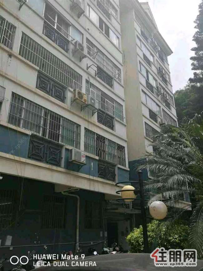 庭香园一房一厅出租