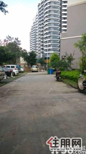 全新婚房装修,保利旁大两房只需1890