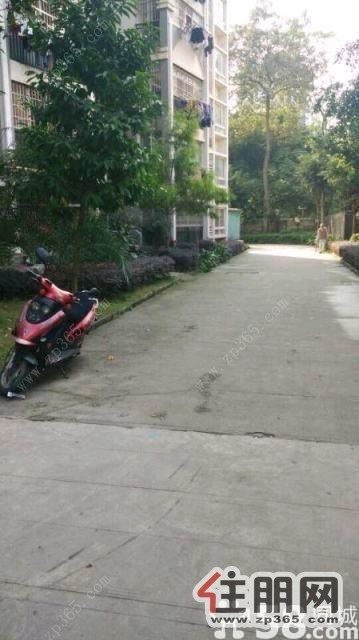 全新婚房装修,保利旁大两房只需1890