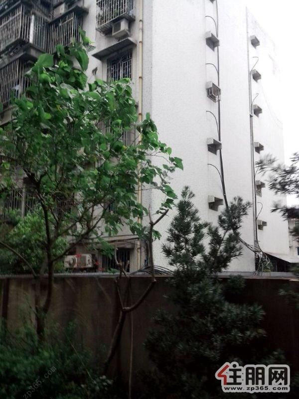 东门商住楼3室2000元一月中装修