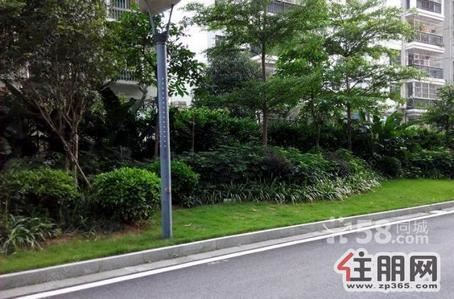 青秀区，青山脚下舒适三房出租(个人)