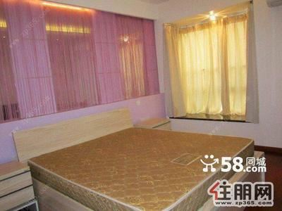 青秀区-东葛路新竹小区4室2厅109平米精装大租