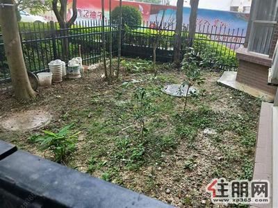 凤岭北，一楼带花园空房办公美容培训万象地铁口马来西亚园