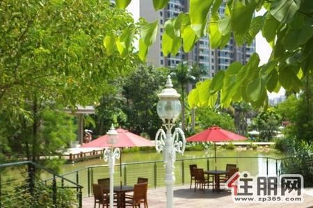 青秀区，荣和大地2500元3室2厅2卫精装