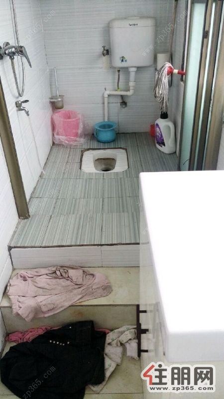 乐群路整栋多套单间出租