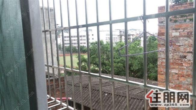 乐群路整栋多套单间出租