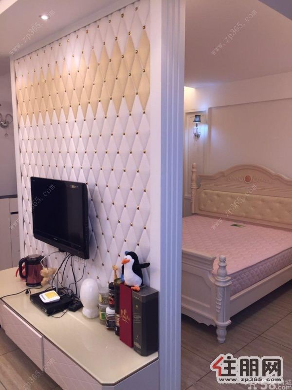 青秀万象城后面利海亚洲国际豪华欧式一房火