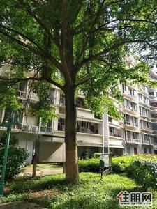 -配套齐全,国际新城1200元2室1厅1卫普通装修急租!