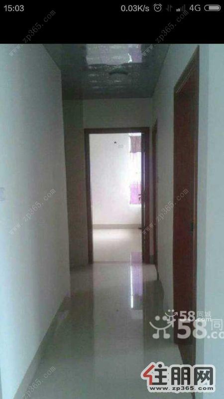 雀山公园对面【胜利小区】精装修【首次出租