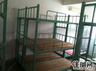 青秀区，建政园湖路小学宿三室精装低价出租伶包即可