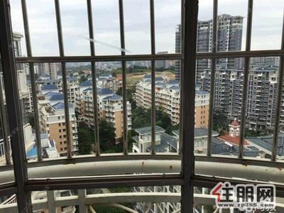 青秀区-财富国际广场荣和山水美地荣和东盟国际新新家园旁边大气楼中楼