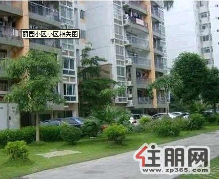 西大附中_西大附中国际部_南宁西大附中 - 图片