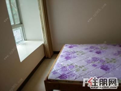 海城区，电梯小三房低价出租全套家电家具-整租