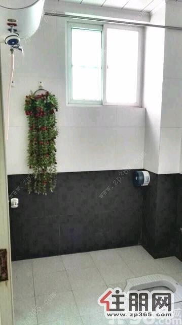 港北聚龙城1室1厅50平米精装修押二付一