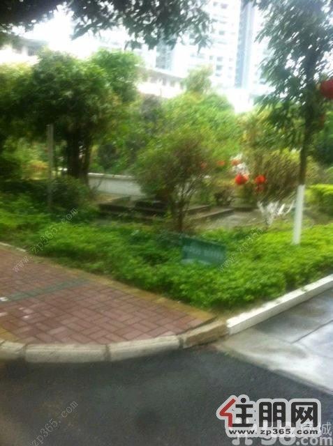 3室1厅98平米精装修押二付二