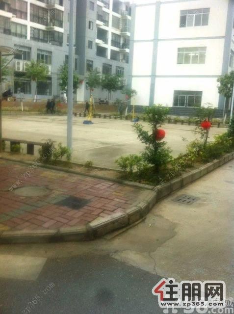 3室1厅98平米精装修押二付二