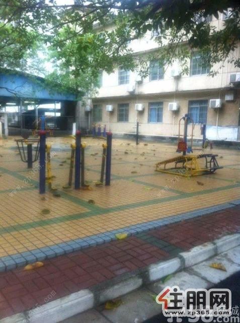 3室1厅98平米精装修押二付二