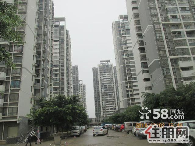 城中靓靓滴【兴怡园】新鲜出炉~新人民医院