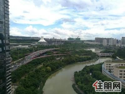 青秀区-金湖广场,铂宫对面天立TT国际,4+1房180平,办公出租