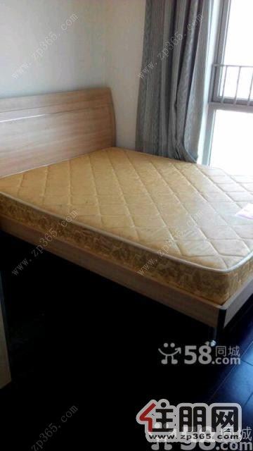 盛天国际2600元2室1厅1卫精装